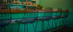 Tabouret de bar Lucy par Bend Goods (fabriqué aux États-Unis)