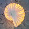 Lampe de Bureau Caracol par Atelier Cocotte 