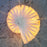 Lampe de Bureau Caracol par Atelier Cocotte 