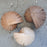 Lampe de Bureau Caracol par Atelier Cocotte 