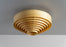 1005 Hans Ceiling Light by Vaarnii