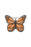 Butterfly Cushion by Lorena Canals