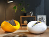 Pastil Chair by Eero Aarnio Originals (Authentic)