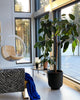Bubble Hanging Chair by Eero Aarnio Originals (Authentic)