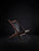Krysset Lounge Chair by Eikund