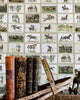 ENGLISH EQUESTRIAN STAMPS Wallpaper by Mindthegap