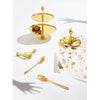 Eve Bon Bon Dish by Jonathan Adler