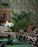 FAIRIES AND DRAGONS Wallpaper by Mindthegap