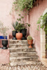 Agnes Plant Stand - Low by Ferm Living