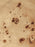 Table basse Burl par Ferm Living