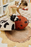 Kids' Maria the Ladybug Floor Cushion by Lorena Canals featuring a colorful ladybug design for children’s room decor.