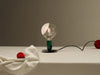 Lampadina Table Lamp by Flos