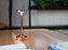 Bon Jour Unplugged by Flos