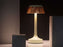 Bon Jour Unplugged by Flos