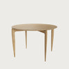 Table Plateau par Fritz Hansen