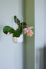 Lotus Hanging Pots (Set of 2) by Hübsch