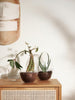 Grow Mini Greenhouse by Design House Stockholm