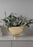 Grand Belle Wine Cooler by Skultuna