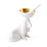 Basset Salt & Pepper Cellar by Jonathan Adler