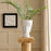 Aphrodite Vase by Jonathan Adler