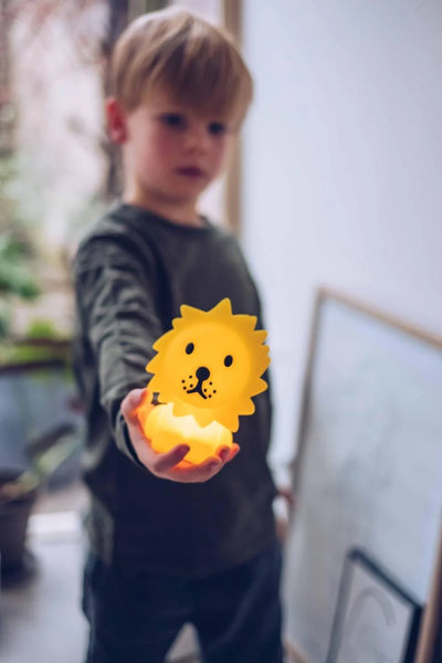 Kids' Lion Bundle of Light by Mr. Maria featuring a soft, plush lion toy with gentle lighting for a cozy nursery decor accent.