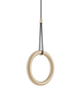 Suspension IVY I Cluster par LODES