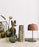 Zile Table Lamp by Luceplan
