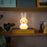 Miffy Shines by Mr. Maria