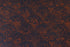 Indigo Macaque by Moooi Wallcovering