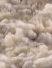 Beetle Dunes from the Green House Collection by Moooi Carpets