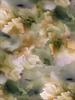 Aqua Flora from the Green House Collection by Moooi Carpets