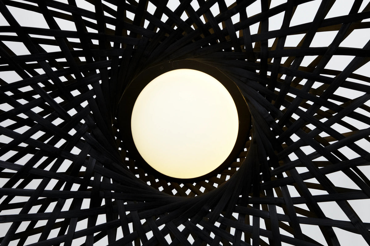 Small black Emperor suspended lighting fixture by Moooi, featuring a modern, artistic design with a sleek finish.