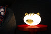 Pet Light by Moooi