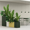Tess Planters par Most Modest