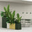Tess Planters par Most Modest