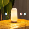 Candy Portable Lamp by Newgarden