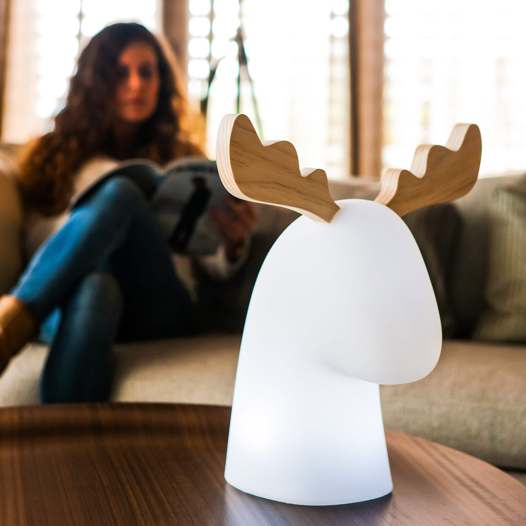 Rudy Table Lamp by Newgarden