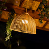 Reona 30 Pendant Lamp by Newgarden