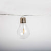 Stella Lights (solar & rechargeable) by Newgarden