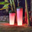 Ficus Planter Lamp by Newgarden