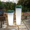 Ficus Planter Lamp by Newgarden