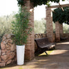 Ficus Planter Lamp by Newgarden