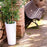 Ficus Planter Lamp by Newgarden