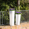 Ficus Planter Lamp by Newgarden