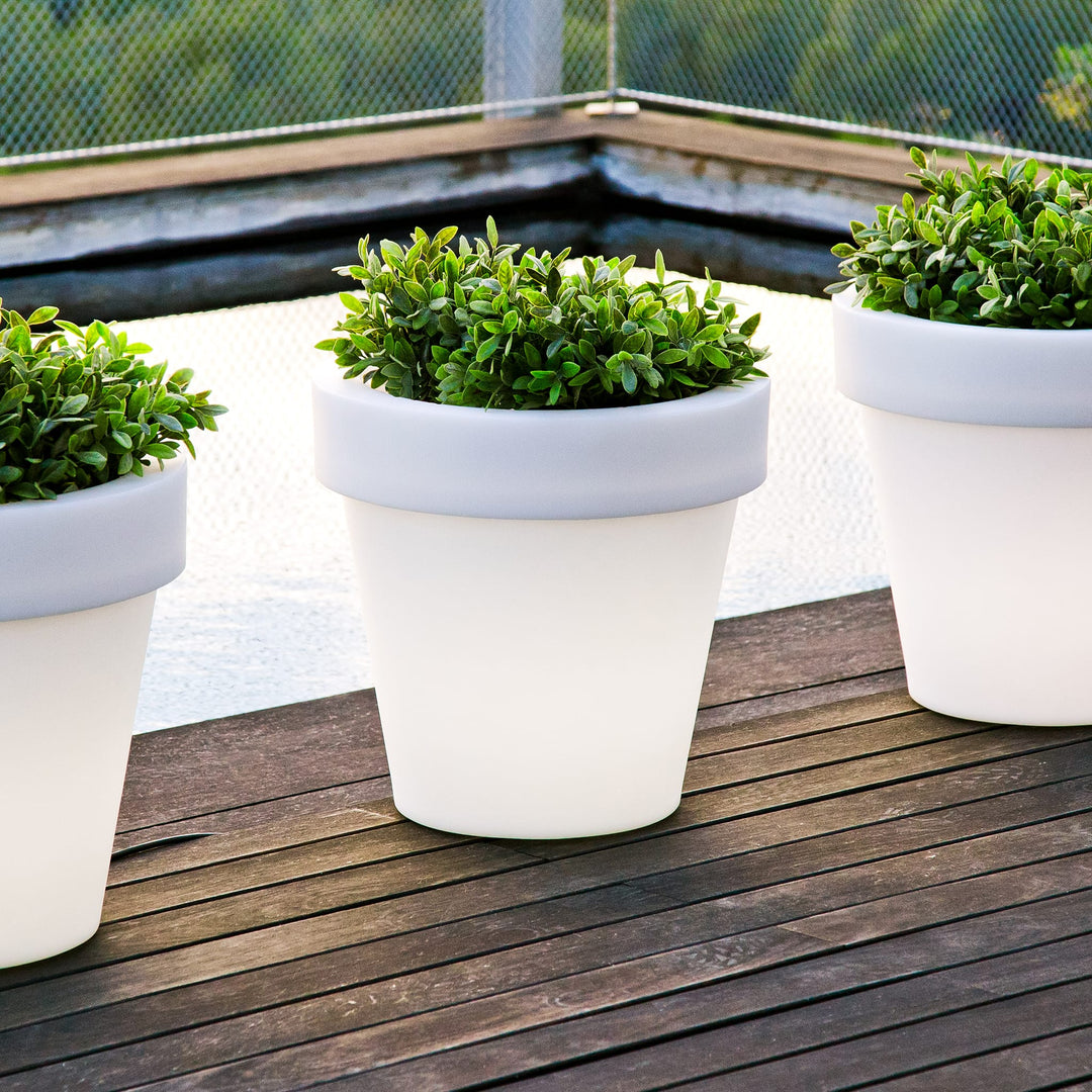 Magnolia Planter Lamp by Newgarden