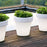 Magnolia Planter Lamp by Newgarden