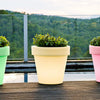 Magnolia Planter Lamp by Newgarden