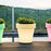 Magnolia Planter Lamp by Newgarden