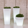 Magnolia Planter Lamp by Newgarden