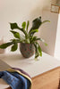 Normu Pots (set of 2) by Hübsch